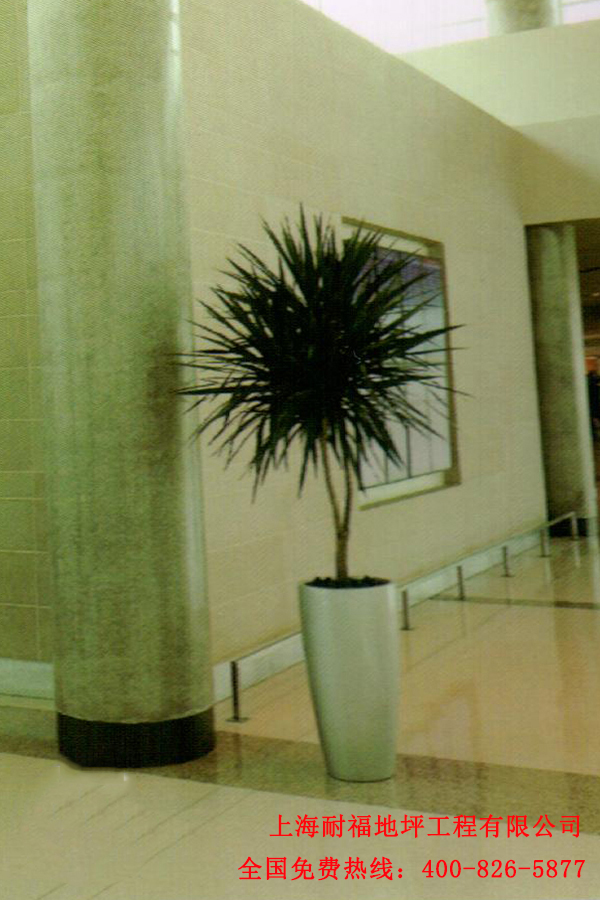 迪樂(lè)堡固化墻面 迪樂(lè)堡固化墻面