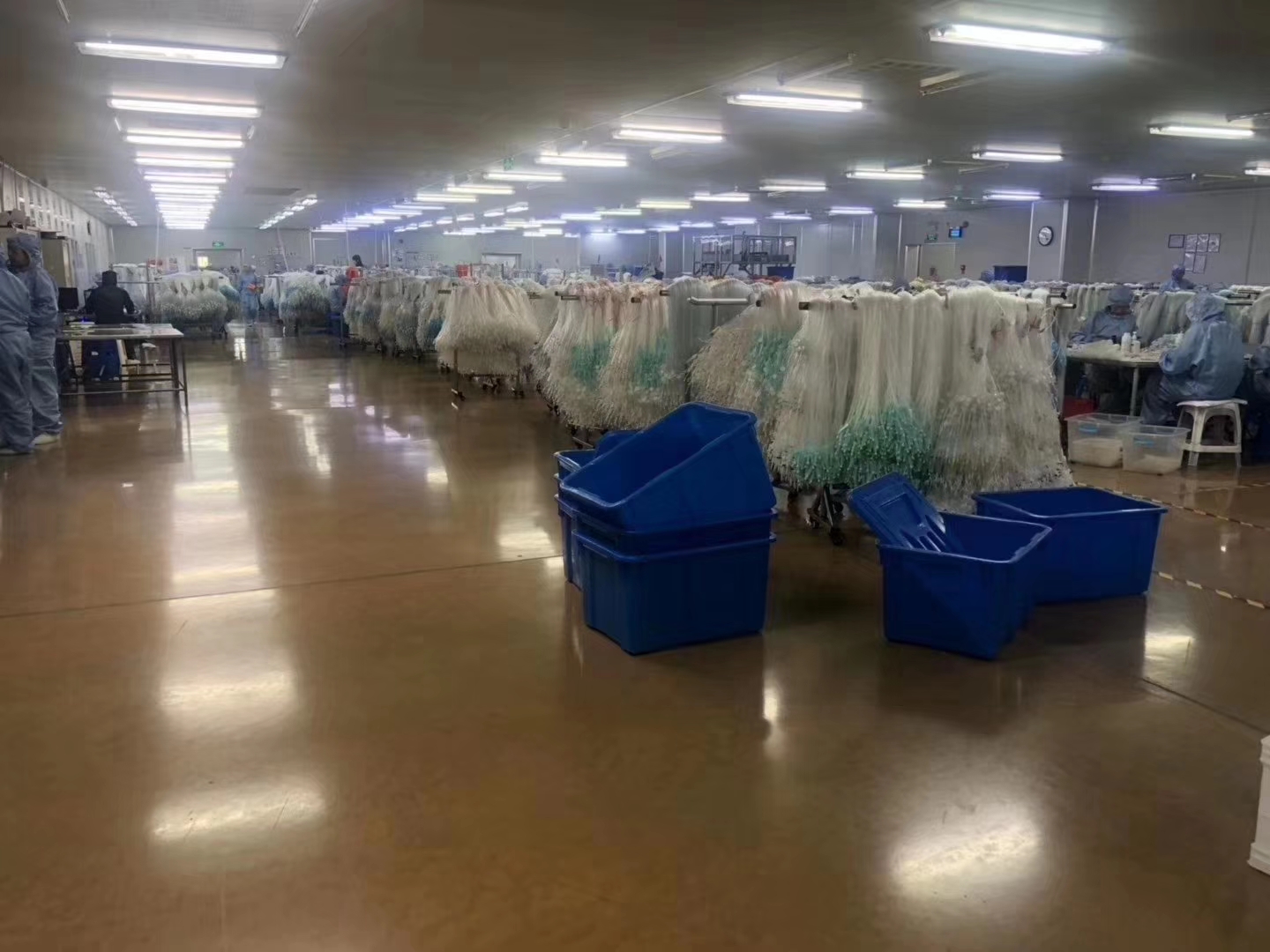 醫(yī)藥品流車間固化地坪