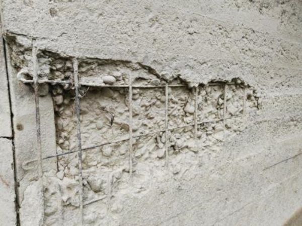 露筋.jpg 露筋.jpg