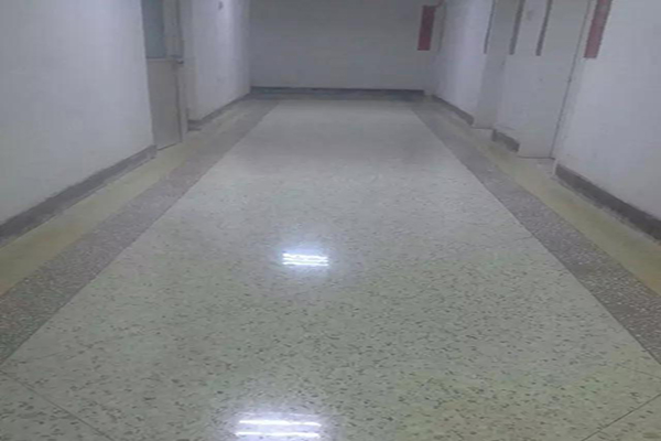 ce47890.jpg ce47890.jpg