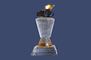 中國電子商務(wù)上海區(qū)十大牛商