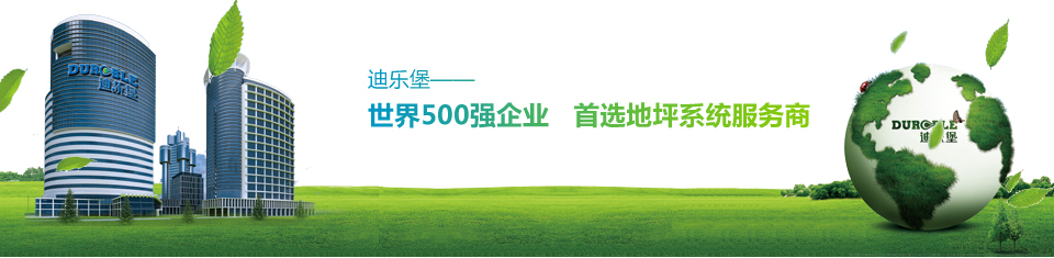 迪樂堡世界500強企業(yè)